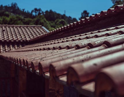madeira-em-sp-madeireira-morro-doce2